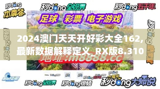 2024澳门天天开好彩大全162,最新数据解释定义_RX版8.310