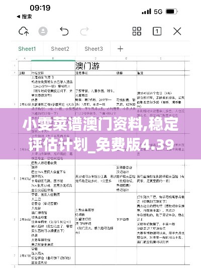 小雯菜谱澳门资料,稳定评估计划_免费版4.397