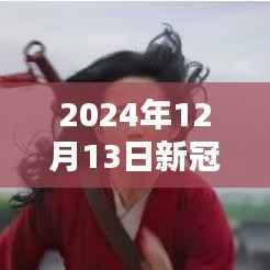 北京新冠肺炎实时状况多元观点探析(2024年12月13日)