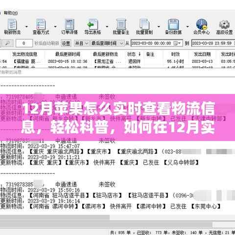 12月苹果产品物流实时跟踪指南,轻松科普如何查看物流信息