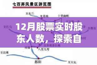 探索自然美景与股市背后的故事,股东人数揭秘与心灵宁静之旅