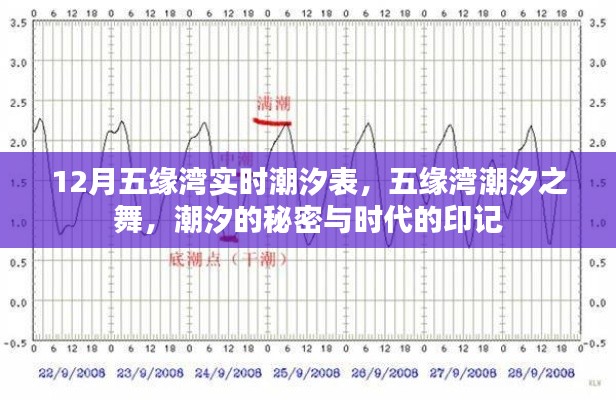五缘湾潮汐秘密大揭秘,潮汐表实时更新,感受时代印记的舞蹈