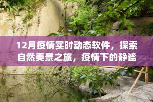 疫情下的自然探索,实时动态软件与静谧时光之旅
