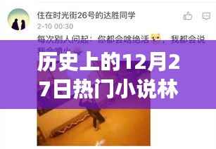 历史上的12月27日，林天宇与宁丽霞的热门小说之旅