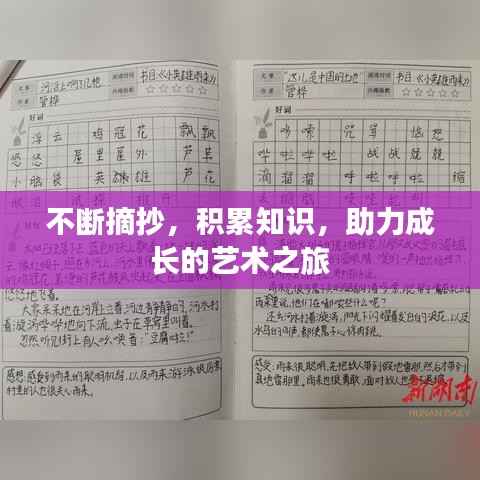 不断摘抄，积累知识，助力成长的艺术之旅