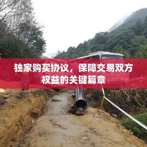 手不释卷