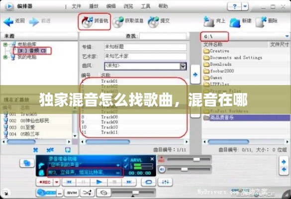 独家混音怎么找歌曲,混音在哪