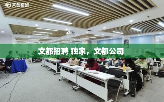 文都招聘 独家,文都公司