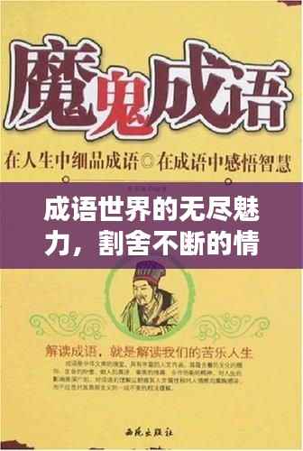 成语世界的无尽魅力,割舍不断的情感纽带
