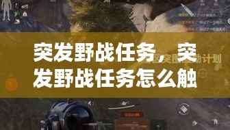 鸟栖虫居 第3页