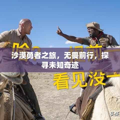 沙漠勇者之旅，无畏前行，探寻未知奇迹