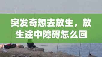 突发奇想去放生，放生途中障碍怎么回事 