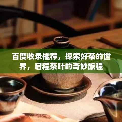 百度收录推荐，探索好茶的世界，启程茶叶的奇妙旅程