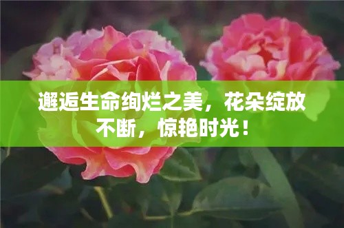 瞻云就日