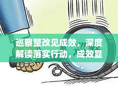 巡察整改见成效,深度解读落实行动,成效显著