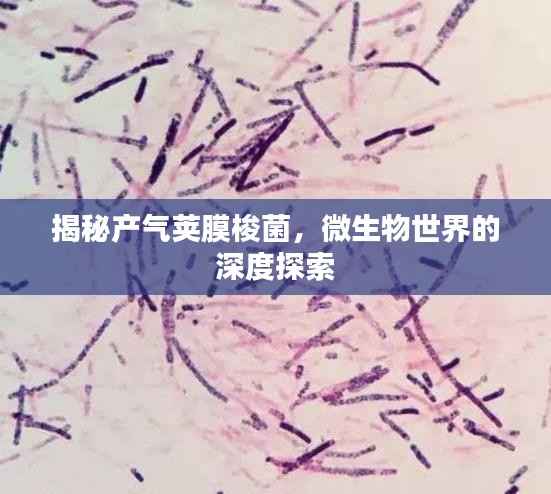 玉树临风