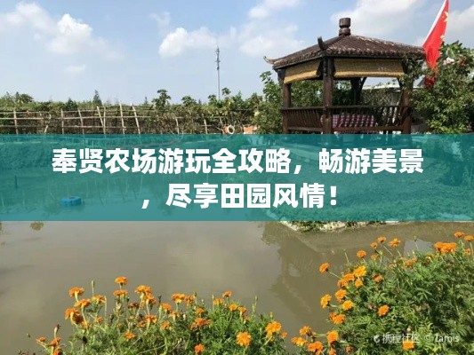 奉贤农场游玩全攻略,畅游美景,尽享田园风情!