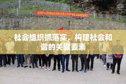 社会组织抓落实,构建社会和谐的关键要素