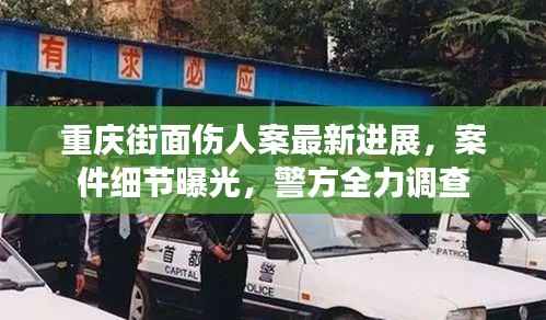 重庆街面伤人案最新进展,案件细节曝光,警方全力调查
