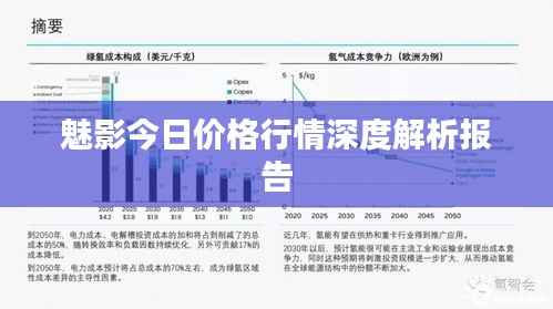 魅影今日价格行情深度解析报告