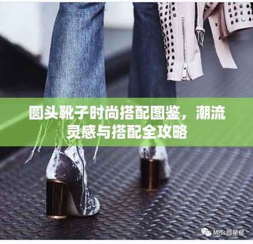 落落大方 第2页