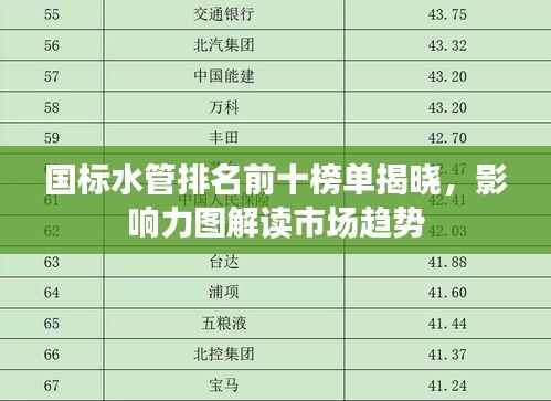 国标水管排名前十榜单揭晓,影响力图解读市场趋势