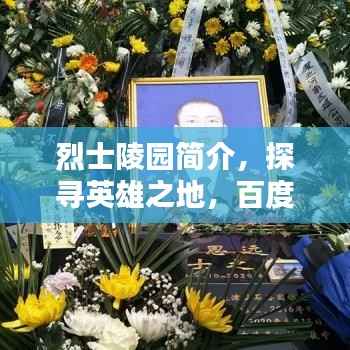 纲举目张