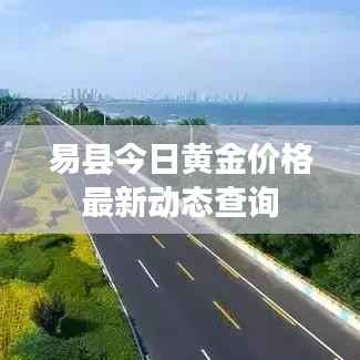 易县今日黄金价格最新动态查询