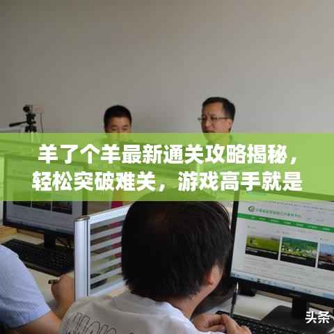 花开无言
