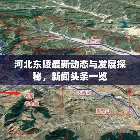 无冬无夏