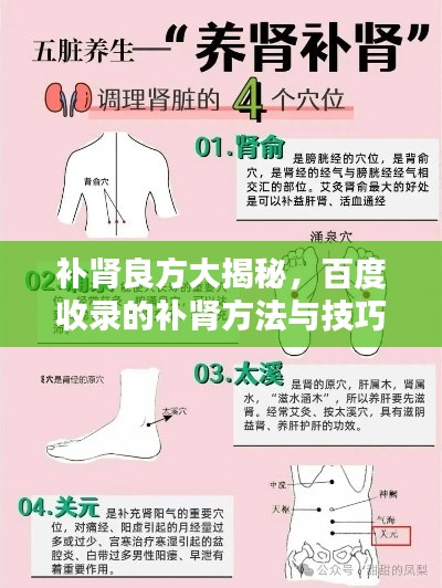 补肾良方大揭秘,百度收录的补肾方法与技巧
