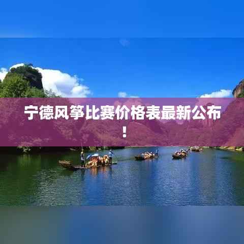 宁德风筝比赛价格表最新公布!