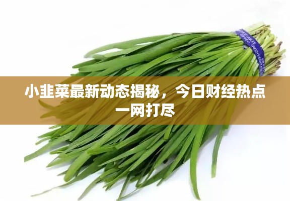 披肝沥胆