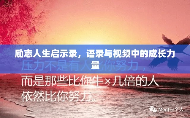 韦编三绝