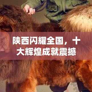 陕西闪耀全国,十大辉煌成就震撼榜单!