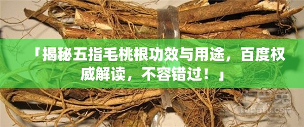 南辕北辙