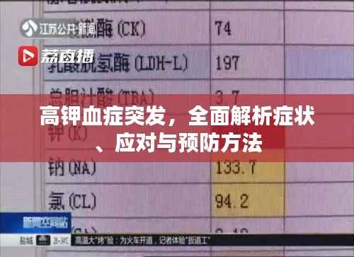 噩噩浑浑
