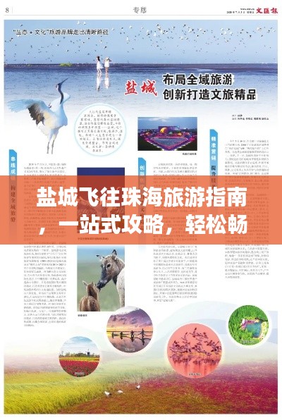 逆风飞扬