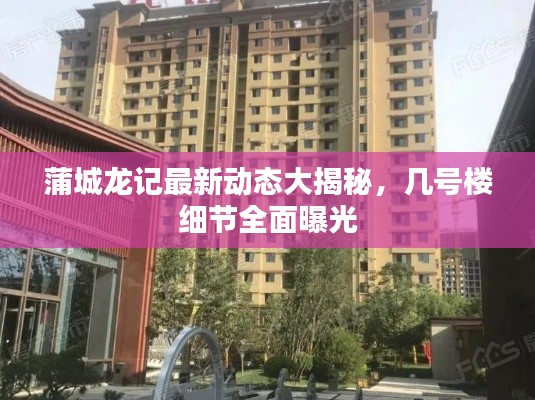 乌鸟私情
